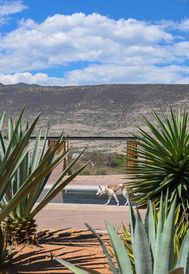 Villa Casa Regina Oaxaca San Pablo Villa de Mitla Esterno foto